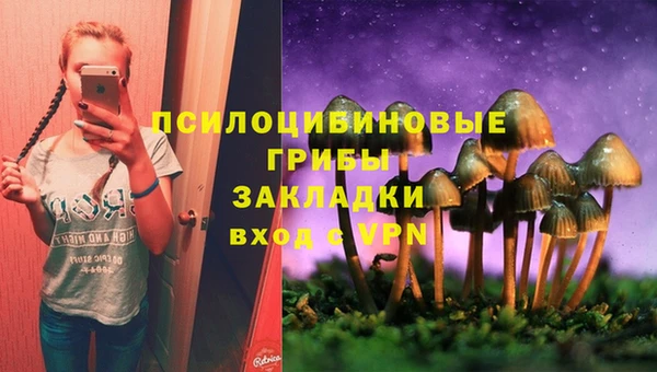 первитин Инта