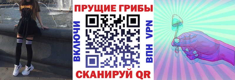 Галлюциногенные грибы GOLDEN TEACHER Владивосток